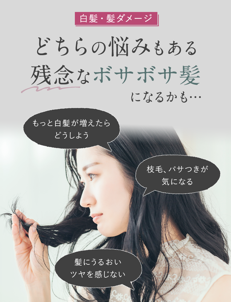 白髪・髪ダメージ
どちらの悩みもある
残念なボサボサ髪
になるかも…